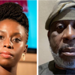 Chimamanda: Nigeria’s democracy is positively growing – By Dele Alake