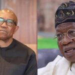 The faceless and the reckless - By Dan Agbese