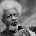 Social media has taken us backwards - Wole Soyinka