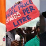 Our protest against Jonathan’s subsidy removal was political - Fayemi