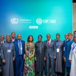 Why Nigeria has 1,411 delegates at COP28 – Presidency