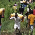 Economic hardship: Abuja residents loot warehouses