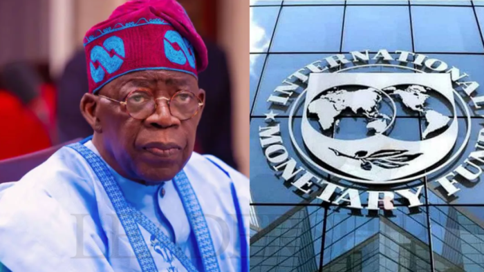 Remove electricity subsidy, IMF warns Tinubu