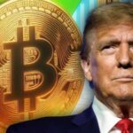 Bitcoin hits record high as Trump’s election fuels crypto surge
