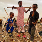 The fulanisation of criminality in Nigeria: myths, realities and the dangerous consequences