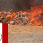 NDLEA destroys ‘1.6m kg’ drugs seized in Lagos, Ogun, Oyo