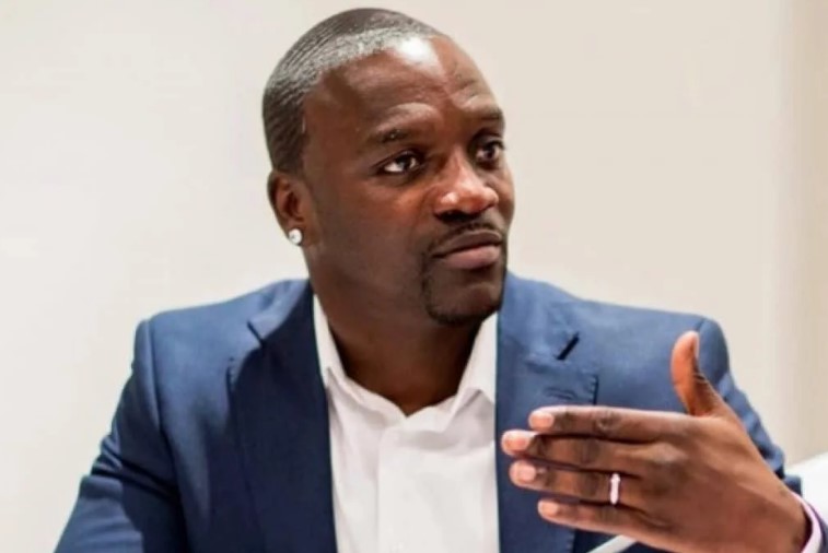 Lagos could’ve been world’s financial capital - Akon
