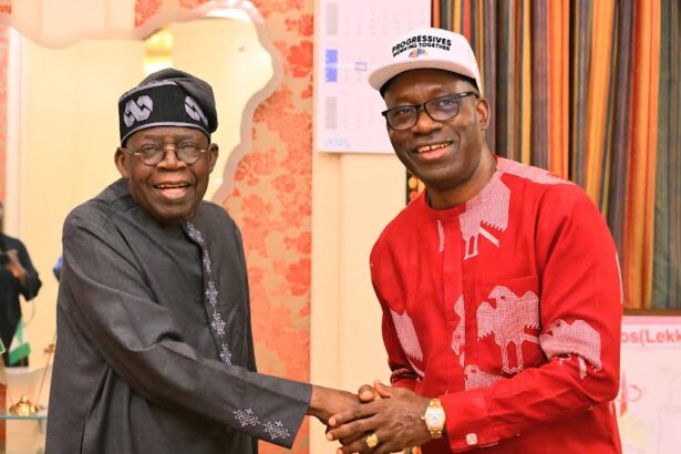 Tinubu congratulates Soludo on re-election