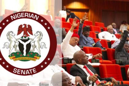 Senate and the Electoral Act Amendment 